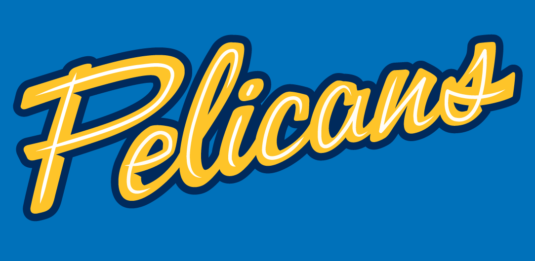 Myrtle Beach Pelicans 2007-Pres Jersey Logo 2 iron on paper